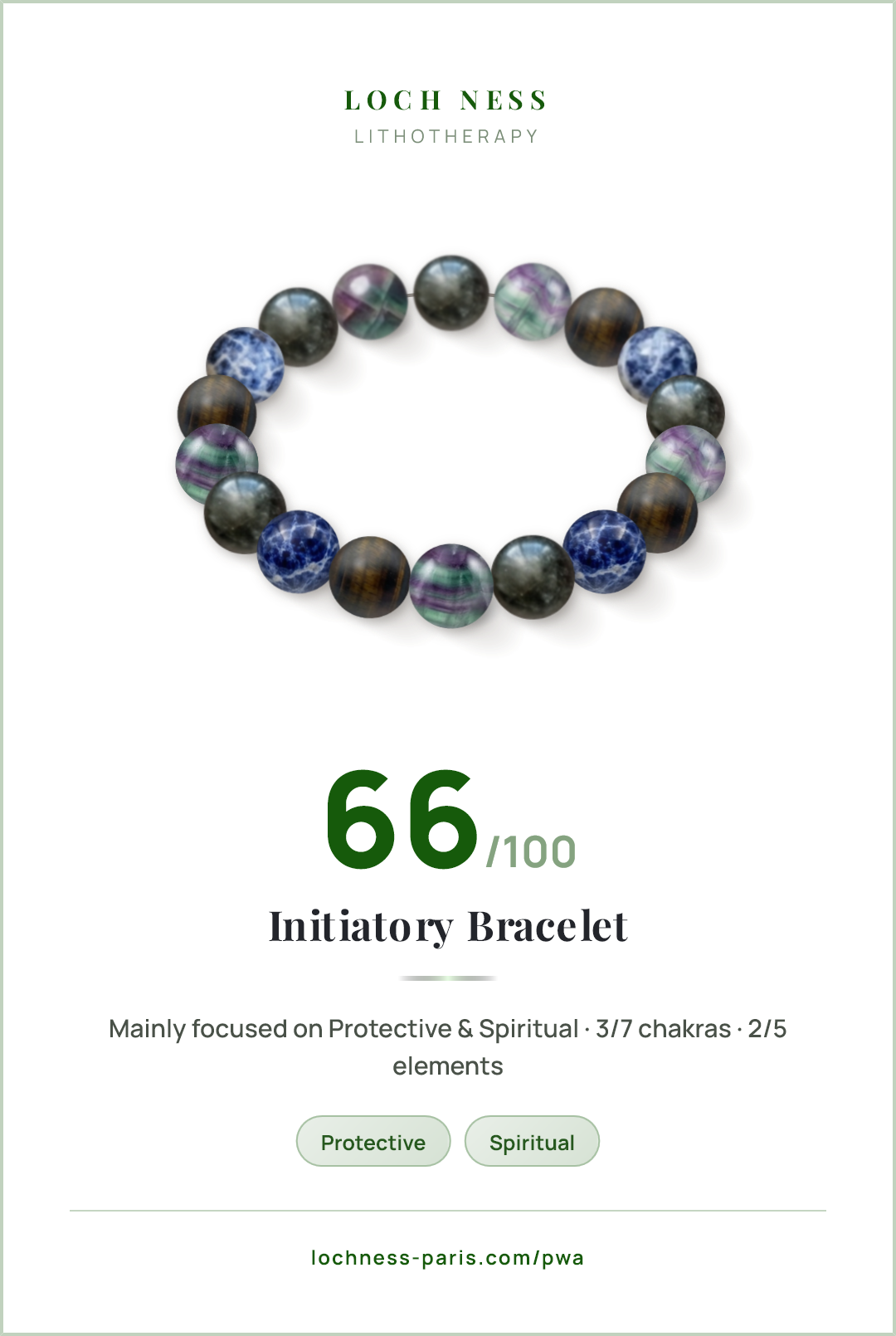 Score card Initiatory Bracelet, natural stone bracelet 66/100, made of Tourmaline (×5), Fluorite (×5), Iron Eye (×4), Sodalite (×4)