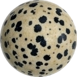 Dalmatian Jasper