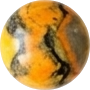 Bumblebee Jasper